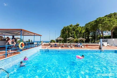 公寓 Fabulous Sea View Near Old Town 阿尔布费拉